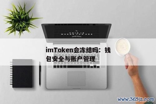 如何设置im钱包官网版中的安全问题？_钱包安全码是什么_钱包安全性